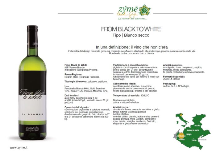 Zyme From Black To White - obrazek 2